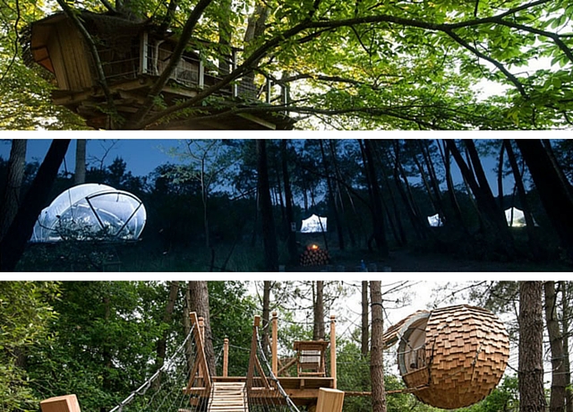C'est glamping, hébergement insolite dans les arbres