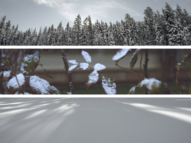 hiver-neige-juliefromcc